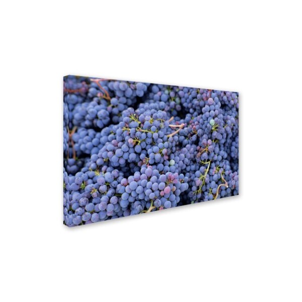 Robert Harding Picture Library 'Grapes 2' Canvas Art,22x32